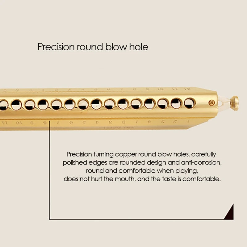 harmonica chromatique jazz