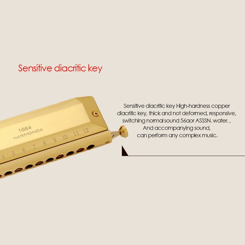 harmonica chromatique jazz