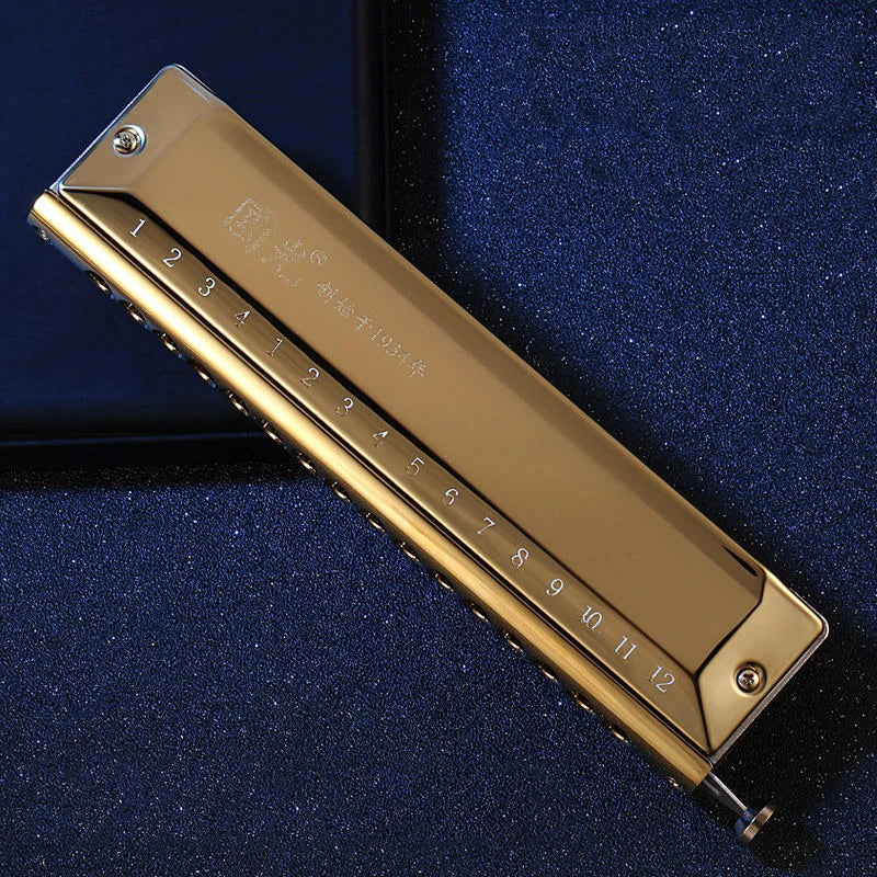 Harmonica Chromatique Professionnel Do
