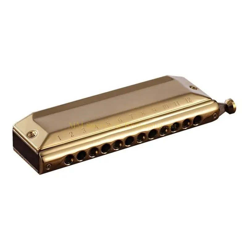 Harmonica Chromatique 12 Trous C