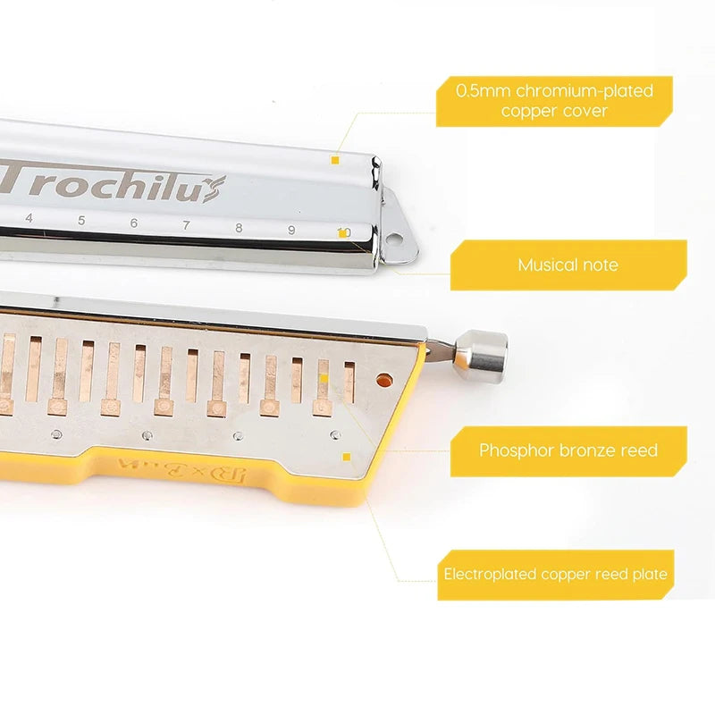 blues harmonica chromatique