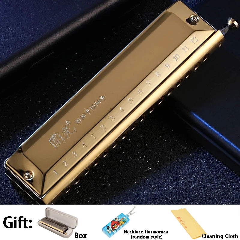 Harmonica Chromatique Professionnel Do