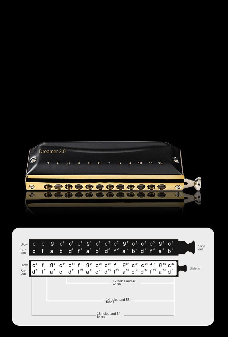 Harmonica Chromatique Professionnel Do