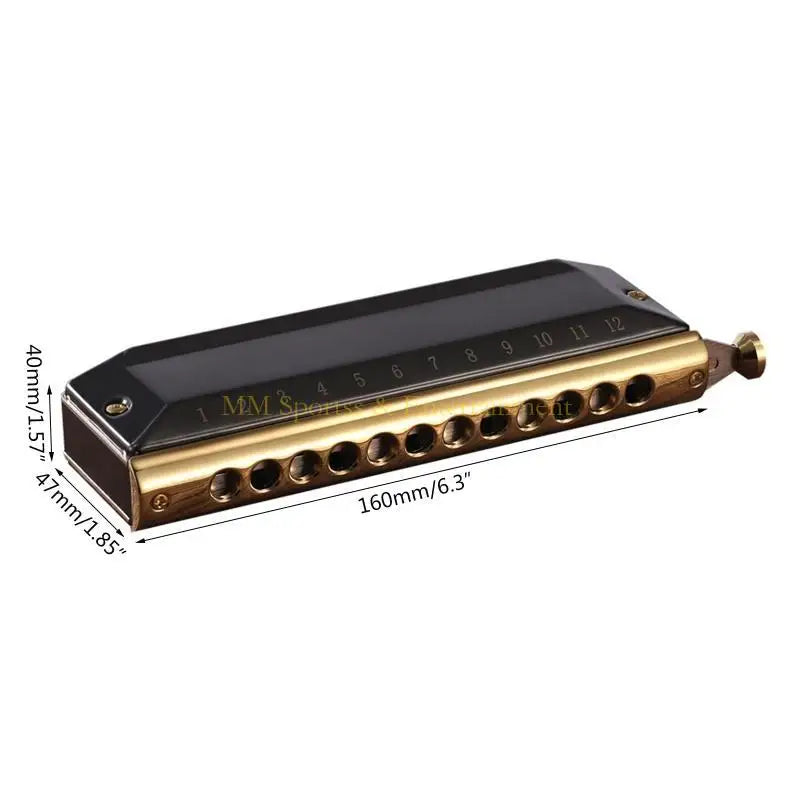 Harmonica Chromatique 12 Trous C