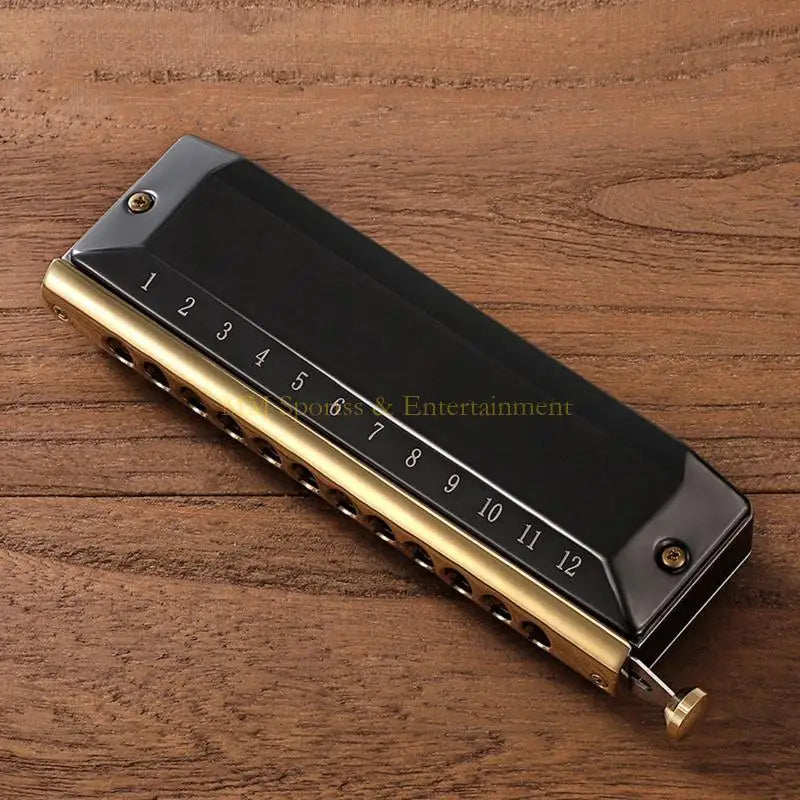 Harmonica Chromatique 12 Trous C