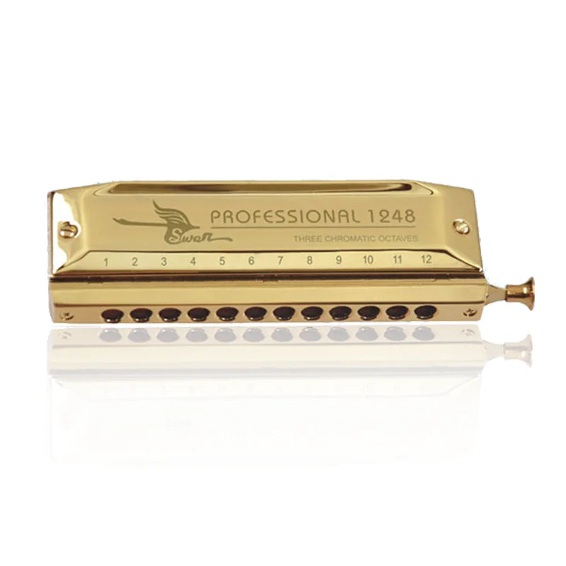 Harmonica Chromatique Do 12 Trous