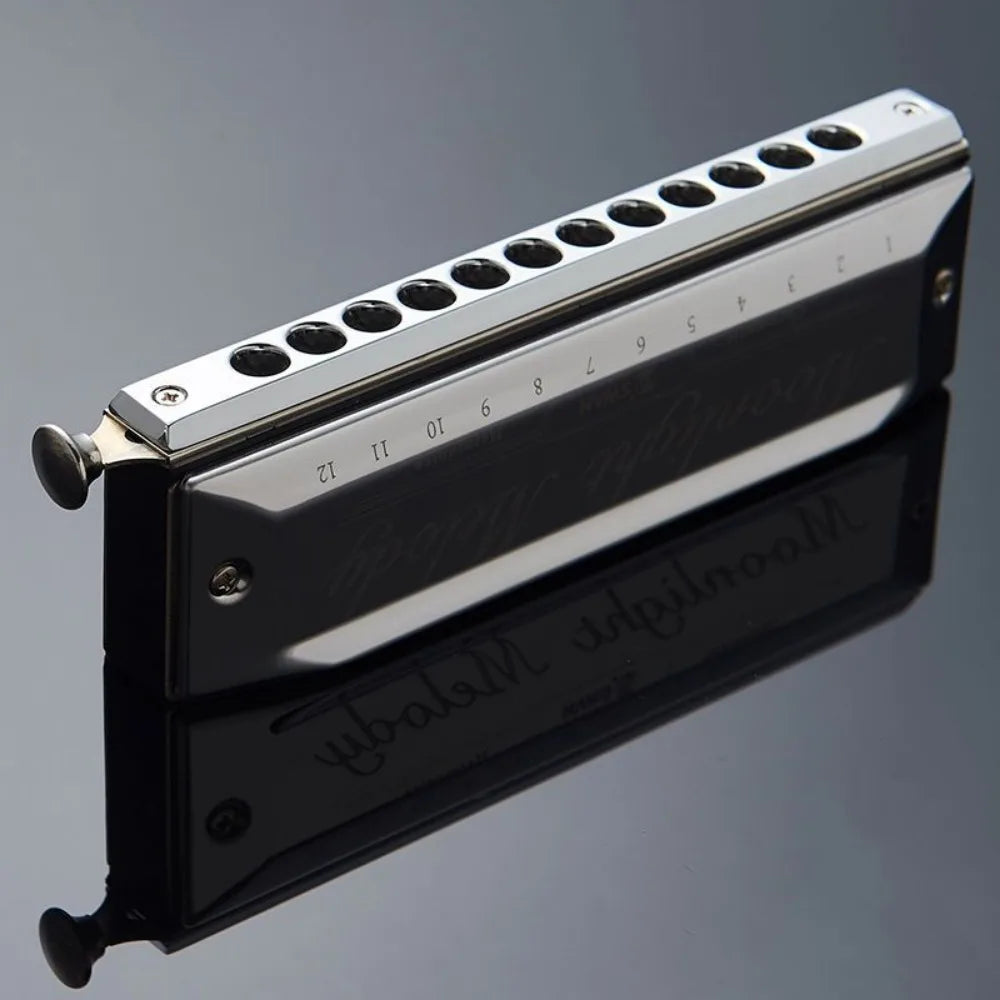 Harmonica Chromatique Professionnel C